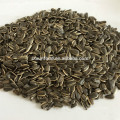chinese sunflower seeds hulled sunflower seeds sunflower seeds market price